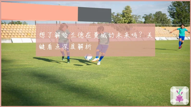 想了解哈兰德在曼城的未来吗？关键看点深度解析